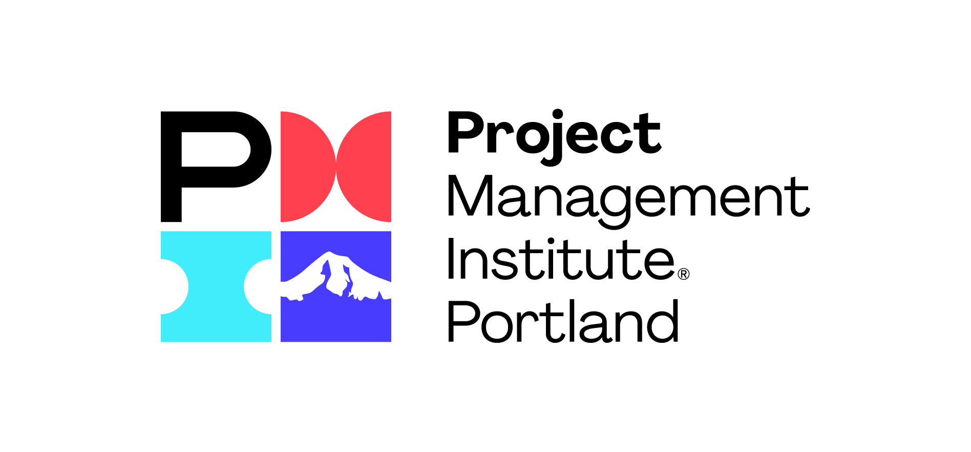 PMI logo